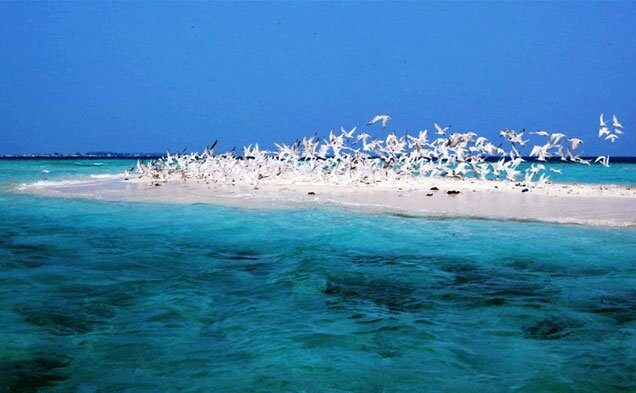 Karimun Tour Package  (3D2N)